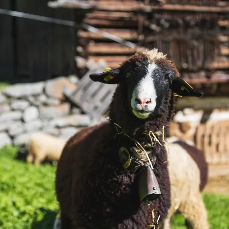 Apartment Berthold *
